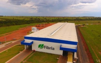 Com ajuda da celulose, volume de cargas em terminais cresce 45%
