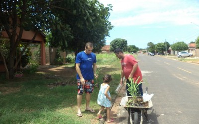 TRÊS LAGOAS SEM DENGUE! Xykão realiza a doação de mudas de citronela aos moradores do bairro Jardim Dourados