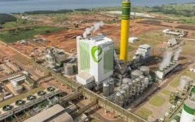Eldorado Brasil reduz ritmo de produção em Três Lagoas para minimizar impactos