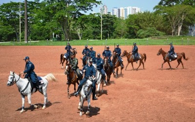 Confirmada a participação da Cavalaria da PM no Desfile Cívico do Aniversário de Três Lagoas