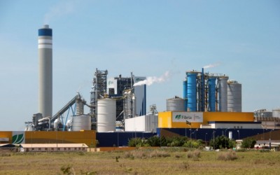 Fábricas de celulose empregam mais de 11 mil pessoas em Três Lagoas