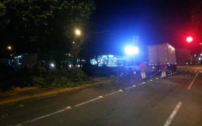Árvore cai sobre caminhão de entrega de pães no bairro Interlagos