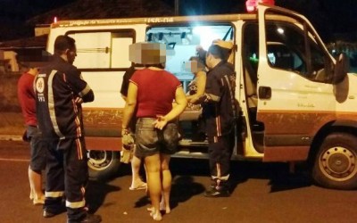 Briga entre cachorros vira caso de polícia e deixa uma pessoa ferida 