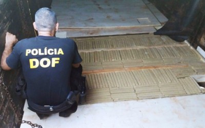 Em 40 dias, DOF apreende quase 11 toneladas de maconha na fronteira 