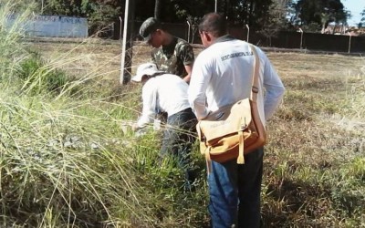 Índice de infestação do Aedes aegypti está baixo em Três Lagoas
