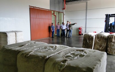 Projetos aprovados por vereadores permitem crescimento industrial em Três Lagoas