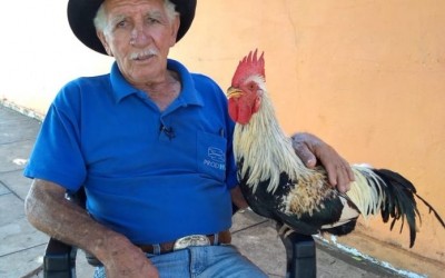 Dono de galo que apareceu na TV é preso por dirigir bêbado