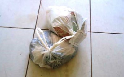 Borracheiro é autuado em R$ 7.500,00 por manter carne de jacaré em armazenamento