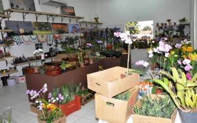 Exposição de Orquídeas vai até sábado na Casa do Artesão