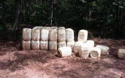 Pecuarista é autuado em R$ 7,5 mil por disposição de agrotóxicos deixados em floresta protegida