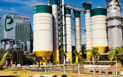 Eldorado abre vagas para Três Lagoas, Bataguassu e Água Clara