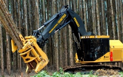 A Emflora estará em Arapuá neste sábado contratando Ajudante Florestal