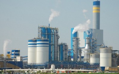Fibria e Suzano marcam data de assembleia se selará fusão
