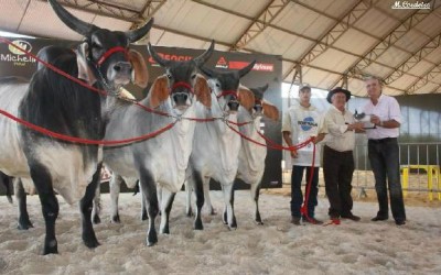 39ª edição da Expotrês será lançada oficialmente nesta terça feira no Sindicato Rural 