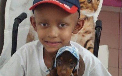 Doença do filho leva mãe a criar grupo para doação de sangue e esperança