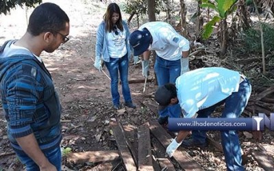 Vigilância captura mais de 100 escorpiões na Horta dos Aposentados; Risco de “transporte” em verduras existe