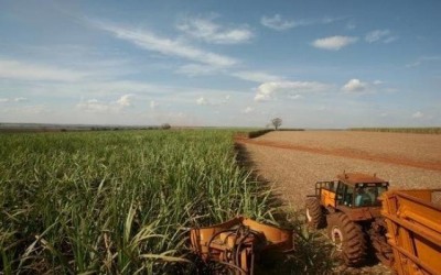 Três Lagoas poderá distribuir ureia boliviana
