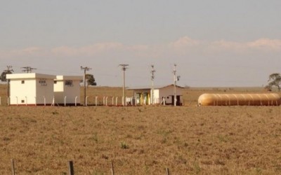 Com investimentos, suinocultura de Brasilândia tem maior rendimento no País