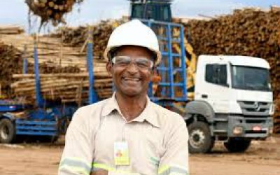 Eldorado abre vagas de trabalho para Três Lagoas e região 