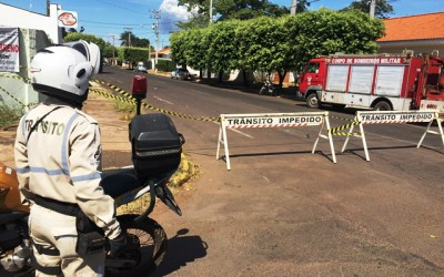 Rua do centro de Três Lagoas é interditada após ataques de abelhas 