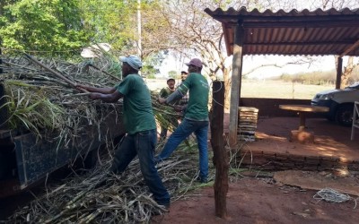 Agronegócio faz união com proprietários rurais para doação e plantação de cana-de-açúcar