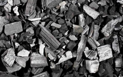 Reflore/MS vê boas perspectivas para a produção de carvão vegetal por meio de florestas de eucalipto