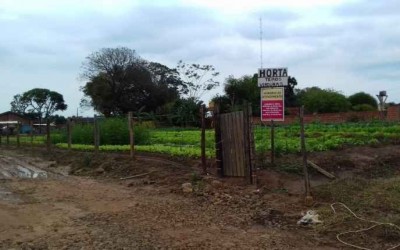 Tragédia: criança de 3 anos morre eletrocutada ao segurar em cerca de horta da família