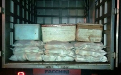 PRF apreende mais de 1 tonelada de queijo caipira impróprio para o consumo 