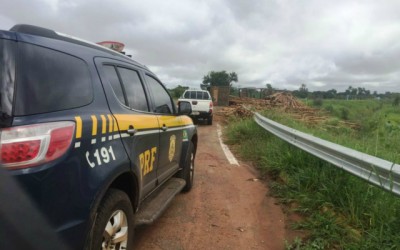 Carreta carregada com eucaliptos tomba em rotatória de Três Lagoas