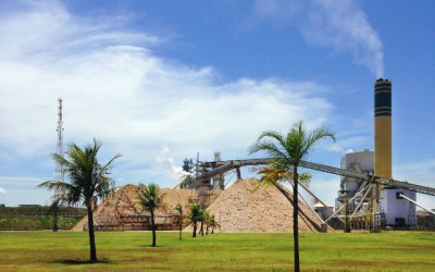 Eldorado busca profissionais para atuar em Três Lagoas, Água Clara e Selviria