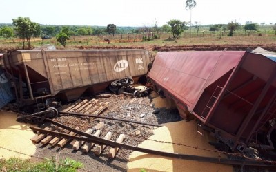 Trem com carga de soja descarrila em Aparecida do Taboado