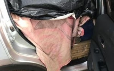 Polícia Federal apreende 900 quilos de maconha que seria levado para Três Lagoas