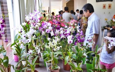 Nos dias 26 e 27 de outubro, o Orquidário Santa Ana fará exposição em Três Lagoas