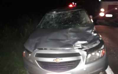 Cavalo solto na pista causa acidente na BR-262