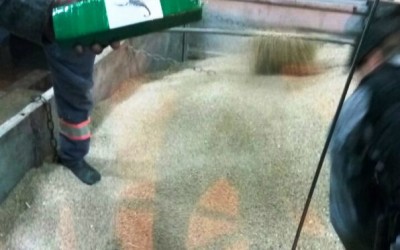 Polícia apreende na divisa entre MS e SP carregamento milionário de drogas 