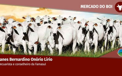Falta de concorrência trava venda de de animais. JBS é responsável por 80% da demanda