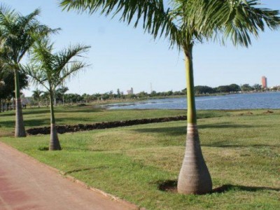 Depois de dias de chuva, Três Lagoas terá segunda-feira de sol, tempo firme e temperaturas de até 29°C