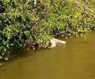 Corpo é encontrado enroscado em galhos no Rio Anhanduí