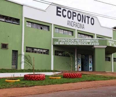 Governo de Andradina coleta pequenos animais mortos