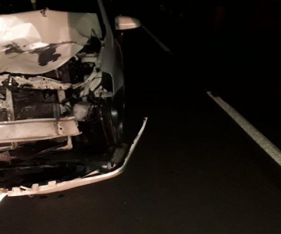 Anta tenta atravessar rodovia e causa acidente na BR-262, na região do Arapuá 