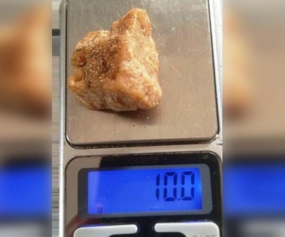 Cão farejador da PM encontra droga; suspeito de tráfico teria descartado o entorpecente 