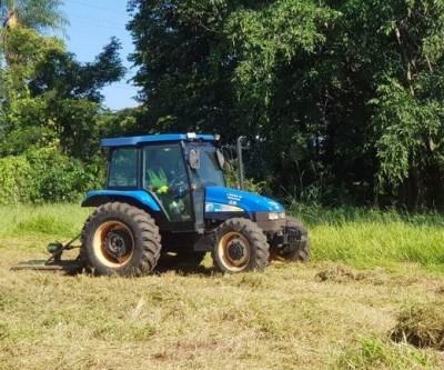 Fiscalização de terrenos sujos continua e mais de 1.500 proprietários de lotes já foram notificados 