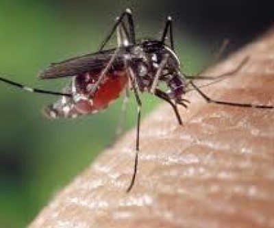 Primeiro caso de Zika Vírus é confirmado em Três Lagoas