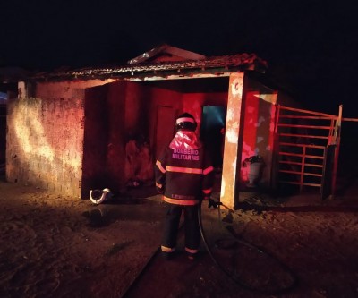 Bombeiros agem rápido e evita que cachorro morresse queimado em incêndio 