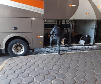 Cão farejador K9 auxilia na localização de drogas em ônibus na estação rodoviária 