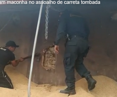 Carreta tomba e policiais rodoviários de Três Lagoas descobrem 600 quilos de maconha escondidas em assoalho  