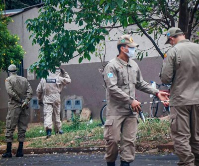 Após morte de dono de oficina que foi atacado por abelhas, bombeiros dão dicas para evitar ataques 