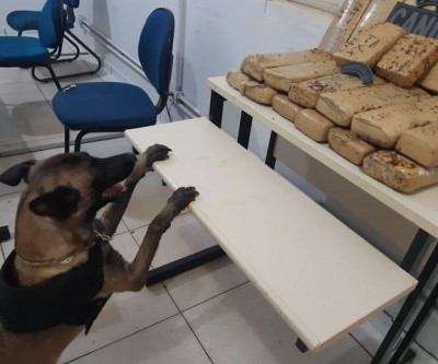 Suposto traficante preso na rodoviária usou RG em nome de outra pessoa para burlar fiscalização da PM 