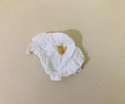 Idoso que estava com drogas perto de escola é detido pela PM