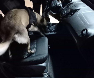 Canil da PM presta apoio aos agentes da Polícia Rodoviária Federal 